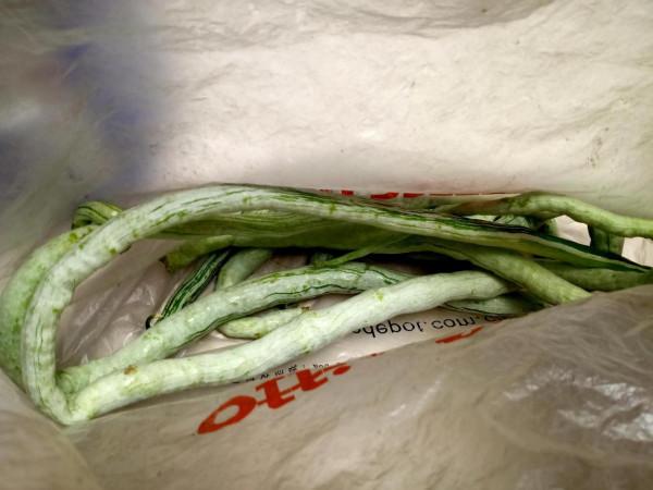 今天是週六 今天是週六