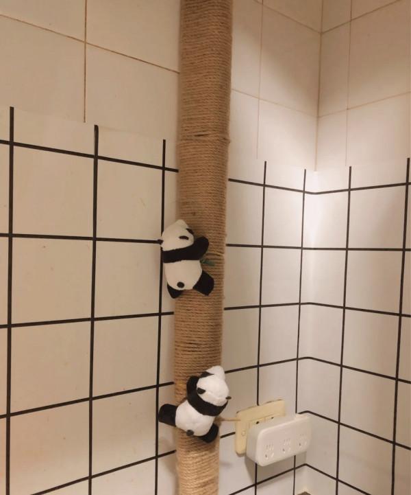 五個裝修“遮醜”小技巧，簡單易操作，讓你的新家不留遺憾