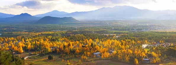 雲南騰衝丨銀杏村“換裝”時節葉正黃