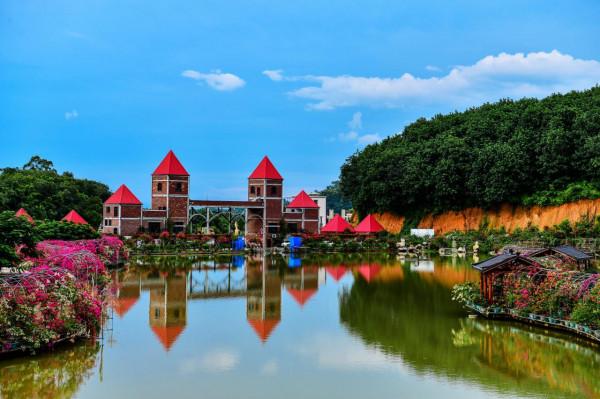 為什麼粵龍山被稱為三角梅王國？