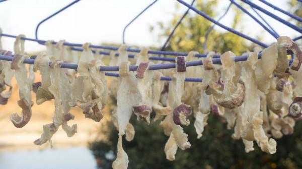 這7種廉價蔬菜曬乾後，美味翻倍！放1年不壞，天冷燉肉特別過癮