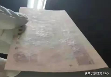 961家族又添新成員，能與801並駕齊驅了