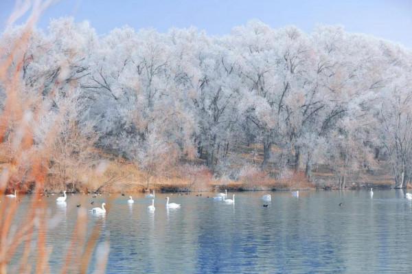 來新疆,別光顧著看雪啦!還有更好的美景在等你 來新疆,別光顧著看雪啦!還有更好的美景在等你