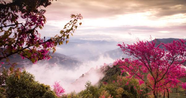 我為什麼不考公務員？