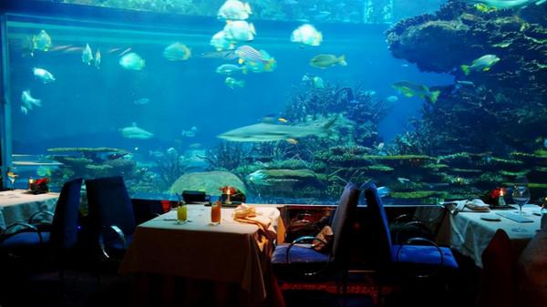全球唯一十星級酒店——迪拜海底酒店