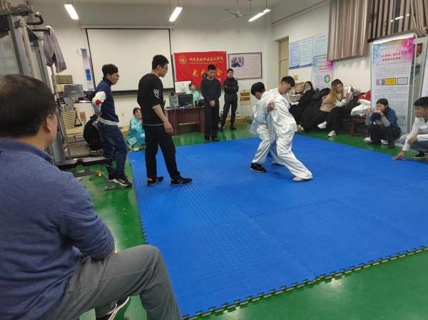 九式太極拳套路及實用技法