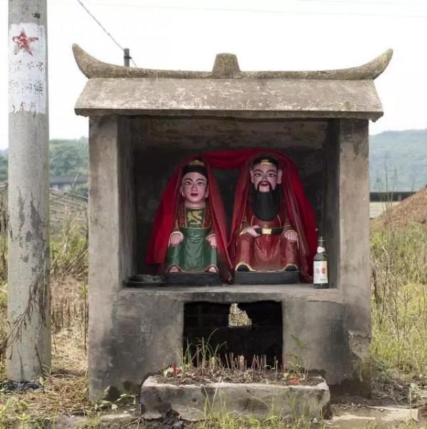 讓兒子做姑爺,可是這親家有點特別——聊齋志異:青蛙神(一) 讓兒子做姑爺,可是這親家有點特別——聊齋志異:青蛙神(一)