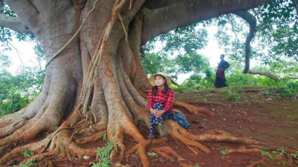 兩個女教師在緬甸偏遠農村的兩天一晚:缺電少水路難走,以為穿越 兩個女教師在緬甸偏遠農村的兩天一晚:缺電少水路難走,以為穿越