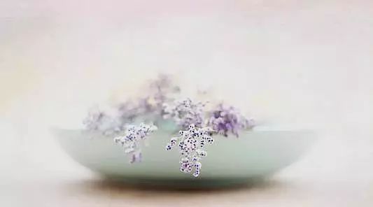 不爭,不吵,不炫 不爭,不吵,不炫