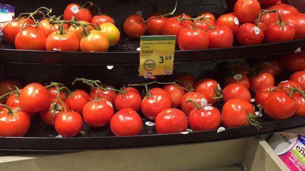 為什麼番茄越來越難吃?科學家歷時4年研究,發現番茄變了 為什麼番茄越來越難吃?科學家歷時4年研究,發現番茄變了