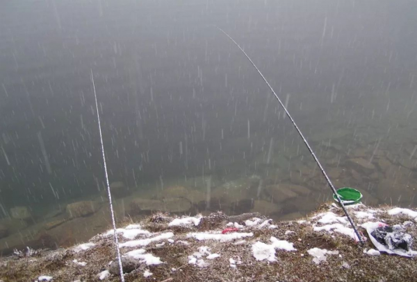 為什麼說下雪五不釣，看完你就明白了