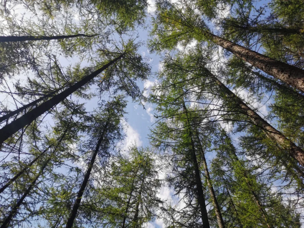國慶假期我們去了這6個地方，遠近皆有，人少不扎堆，風景獨特