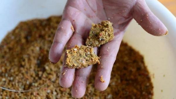 寒冬鯽魚不開口，加點新增劑才能撬開魚嘴