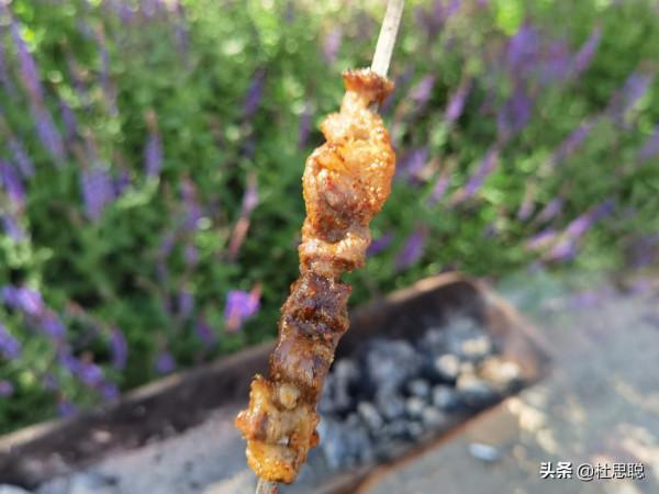 漢EV自駕新疆，第一次使用自動泊車，第一次自制烤串真香啊