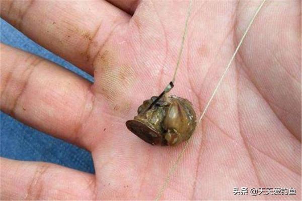 深秋時節,還想手竿釣青魚,試試“放風箏”釣法,更適合釣深釣遠 深秋時節,還想手竿釣青魚,試試“放風箏”釣法,更適合釣深釣遠