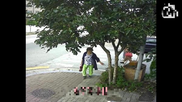 女人意外獲得一棵搖錢樹,每天都會獲得50元硬幣,但女人並不開心 女人意外獲得一棵搖錢樹,每天都會獲得50元硬幣,但女人並不開心