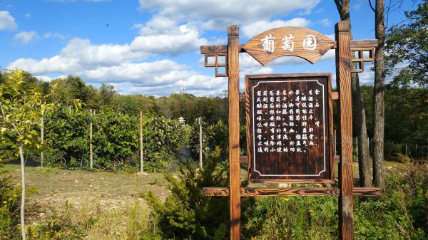 振興發展勁頭十足 鄉村旅遊大有可為