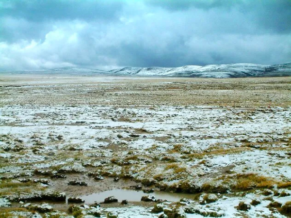 可可西里從來不拒絕生命，只拒絕人類