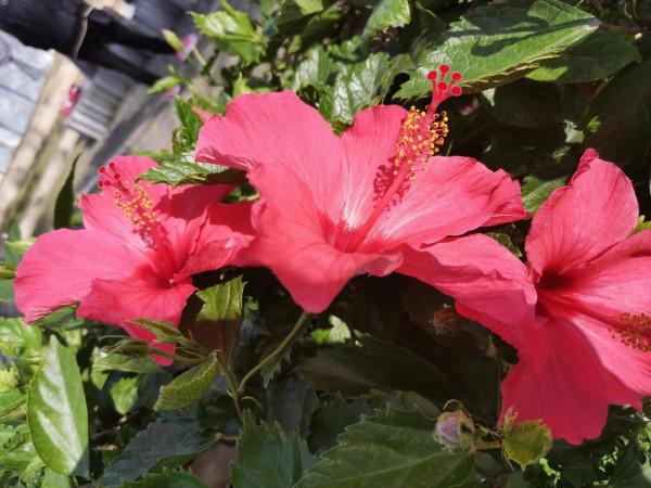 兩種生意勸你“搶著幹”，兩種生意勸你“不要幹”？