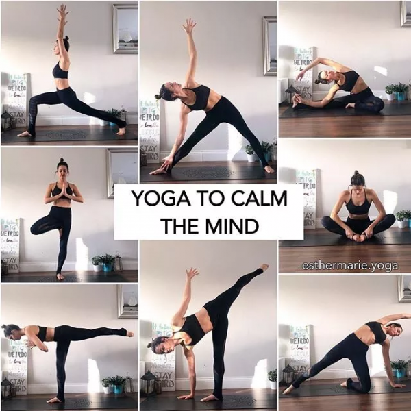 哈他瑜伽序列編排技巧，另附25個經典序列圖解，收藏級