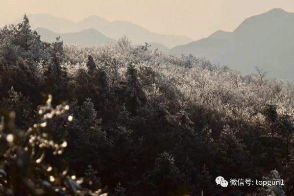 原來江南也有如此夢幻霧凇 原來江南也有如此夢幻霧凇