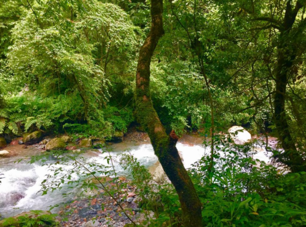 四川小縣城:50萬人口卻有萬千美景,一到冬天美成童話 四川小縣城:50萬人口卻有萬千美景,一到冬天美成童話