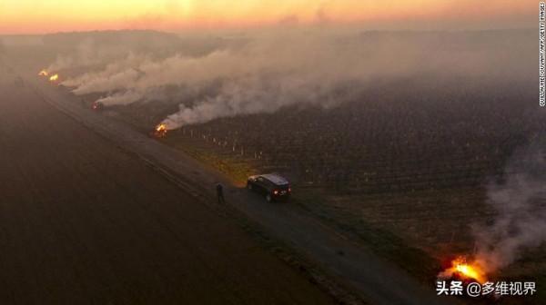 法國釀酒商面臨30年來最惡劣的天氣，葡萄園內點蠟燭和火盆取暖
