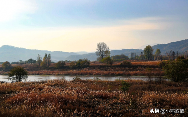 人際交往中，遇到問題時，怎麼讓別人更“配合”你？