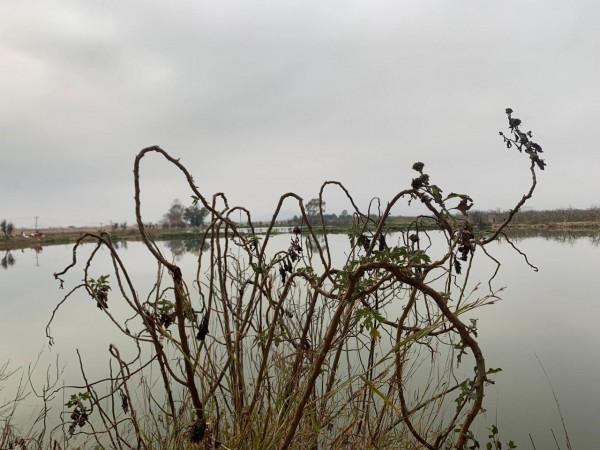 從燈火闌珊出發，尋江南水墨風情