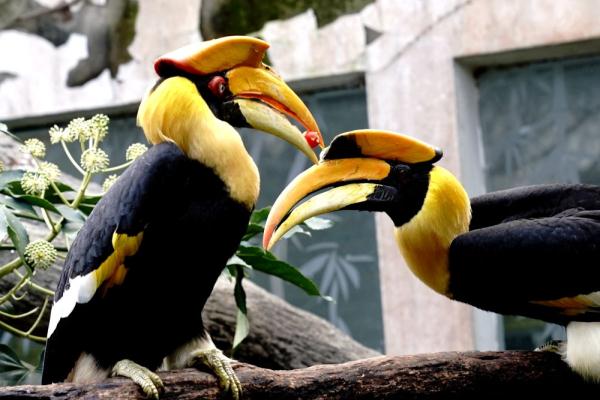 &OpenCurlyDoubleQuote;大快朵頤&rdquo;過大年