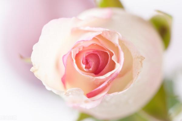 你的態度決定別人對你的態度 你的態度決定別人對你的態度