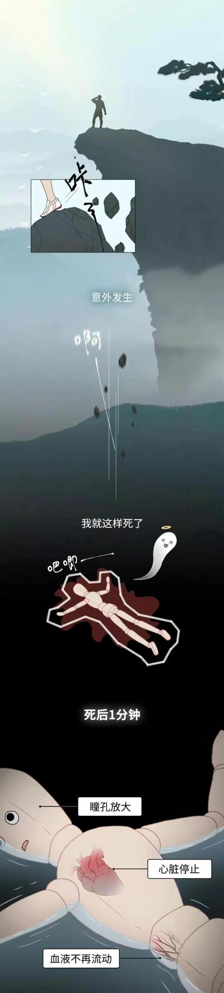 人死後1萬年，屍體會發生哪些變化？漫畫解答，建議提前瞭解下