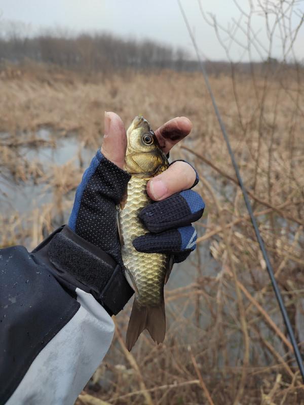 這就是菜地的魅力，夠野、夠暴力