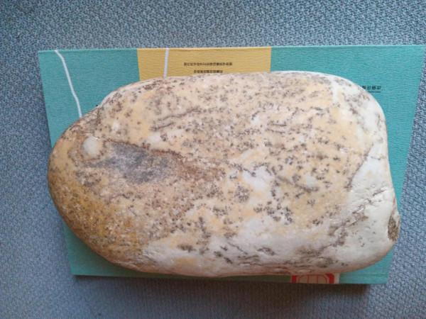 新疆和田玉石包玉探秘 新疆和田玉石包玉探秘