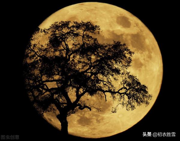 中秋明月故人詩詞六首：故人明月從來共，中秋明月故人心