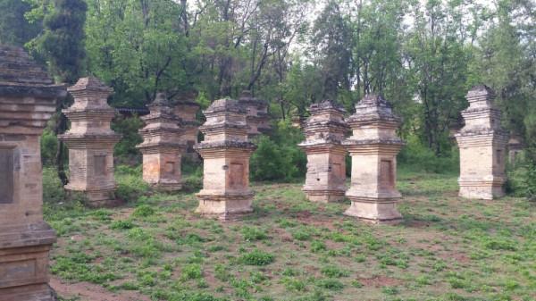 河南必去的寺廟：不要門票，免費停車！網友：真正的佛門清修之地