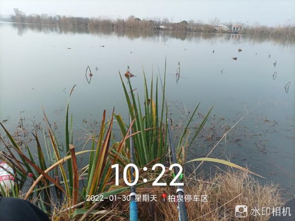 來自北賽湖探釣意外發現——外來物種