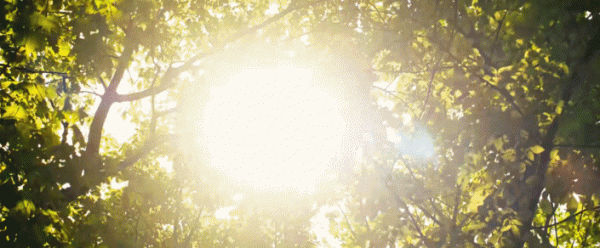 這是把最會演戲的人都薅到了一起？