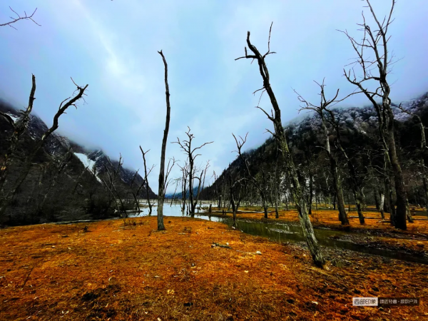 「元旦特輯」那瑪峰，開啟攀登進階之旅