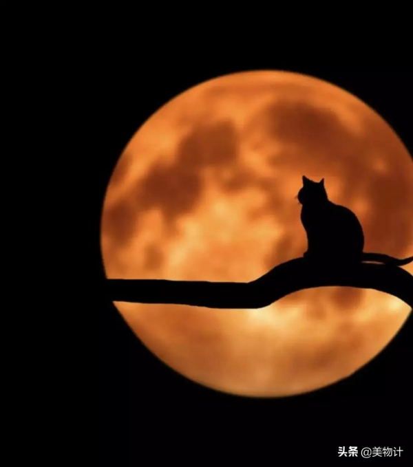 中秋：願人長久，月常圓