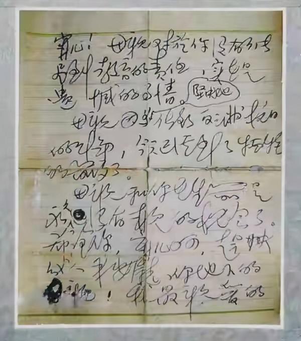 趙一曼犧牲後,家人為何仍苦尋20年?孫女面臨下崗說出奶奶名字 趙一曼犧牲後,家人為何仍苦尋20年?孫女面臨下崗說出奶奶名字