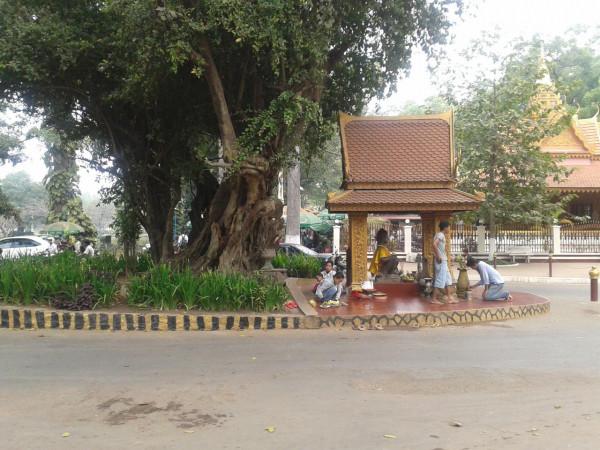 和你嘮嘮我的柬埔寨之旅（三）能夠耳聞目睹的信仰