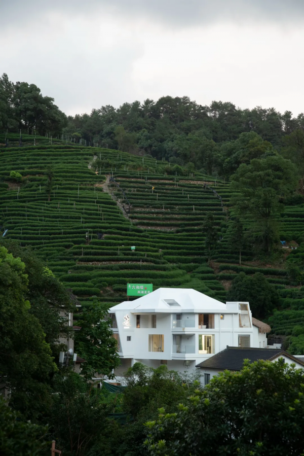 杭州民宿圈又一新作!270°落地玻璃躺看茶園,私享西湖邊避世秘境 杭州民宿圈又一新作!270°落地玻璃躺看茶園,私享西湖邊避世秘境