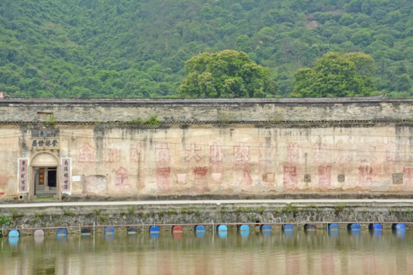 200多年曆史的客家圍屋,有兩個足球場大,卻被荒草掩蓋 200多年曆史的客家圍屋,有兩個足球場大,卻被荒草掩蓋