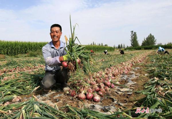 看！2500萬人的豐收圖景