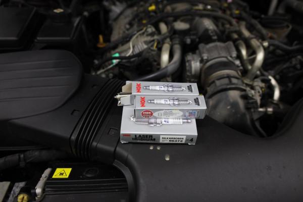 海王?瑪莎總裁動力升級 海王?瑪莎總裁動力升級