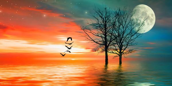 生命有來有往，來日並不方長