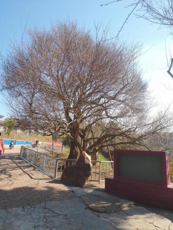 潮塘古梅至北聯村紅色線路