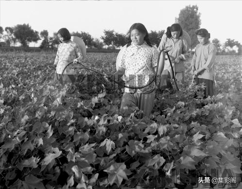 石家莊藁城縣五六十年代老照片