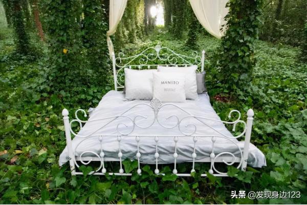 農莊案例展示（英國伊甸園+定製活動+田園場景）